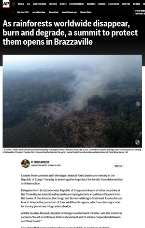 Image of an article by Mureithi on efforts to protect rainforests.