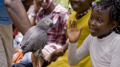 A child shown with a bird on Dr. Mark's Animal Show