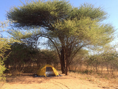 Ruaha Tent